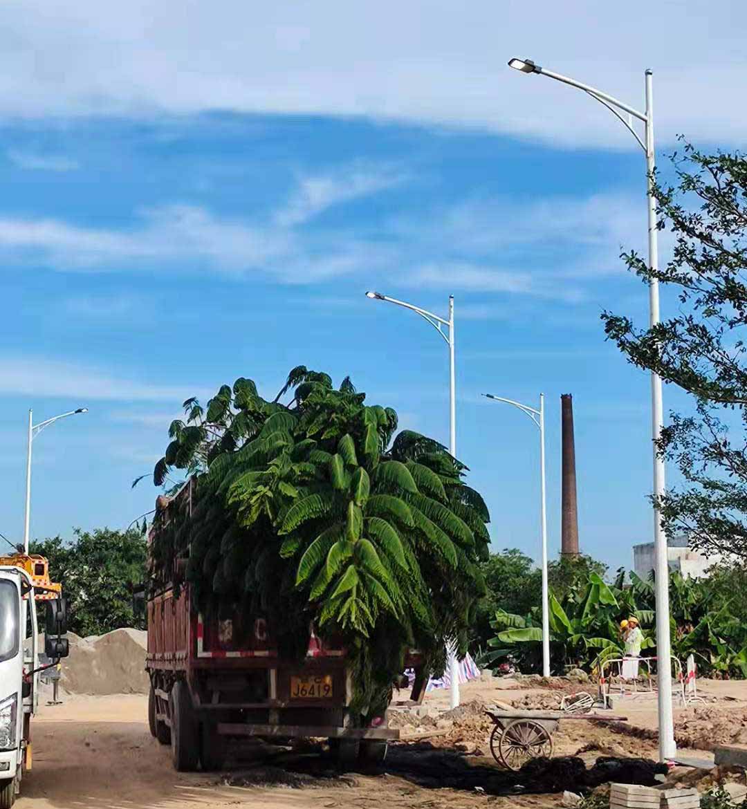 华体会在线注册,华体会（中国）助力东莞洪梅万科星城道路亮化工程